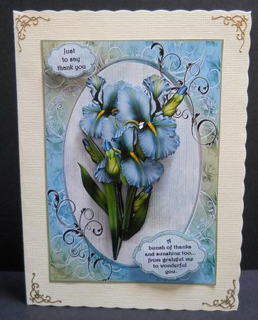 Blue Iris Thank You/retirement by Yvonne Middleton