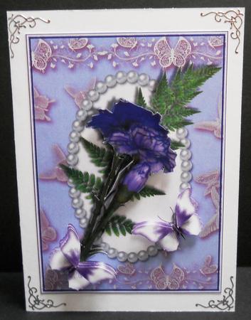 Purple Carnations with Flutters Card Front by Yvonne Middleton