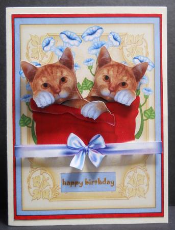 Cat's Wishes by Yvonne Middleton