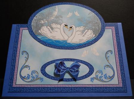 Swans - Engagement- Over the Edge by Yvonne Middleton
