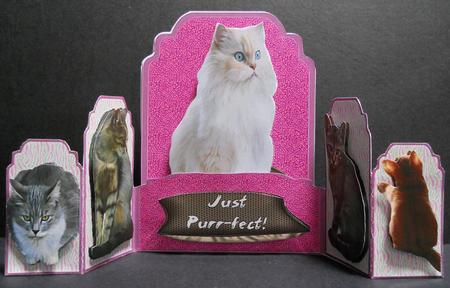 Cats Galore Gatefold Pocket Card Mini Kit by Yvonne Middleton