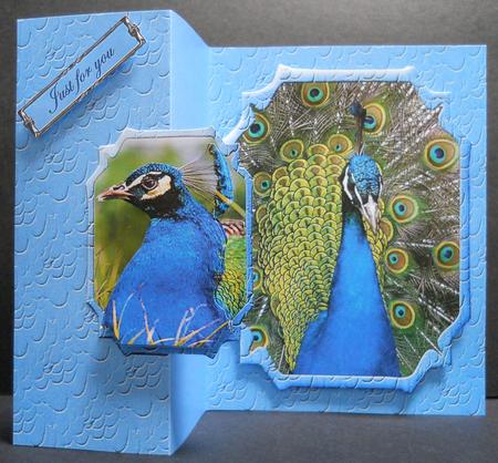 Beautiful Peacock Back Fold No Hole Mini Kit by Yvonne Middleton