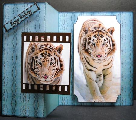 White Tiger Back Fold No Hole Mini Kit. by Yvonne Middleton