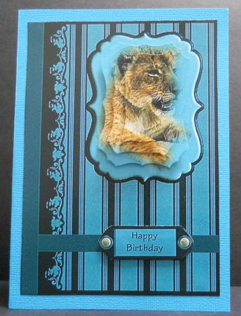 Lion Cub Card Front by Yvonne Middleton
