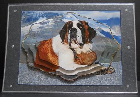Bernard Dog Relaxing Card Front by Yvonne Middleton