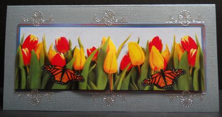 Large Dl Card Tulips from Amsterdam by Yvonne Middleton