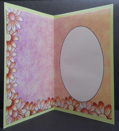 Peach Edged Daisy Insert 1 by Yvonne Middleton