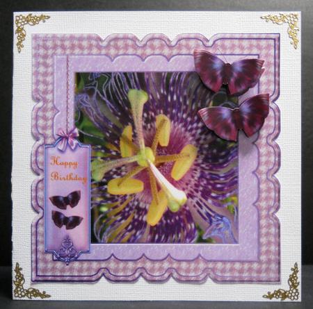 Scallop Lavender Passionflower Beauty by Yvonne Middleton