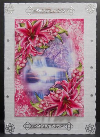 Gorgeous Stargazer Lilies at the Waterfall by Yvonne Middleton