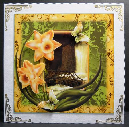 Daffodils by the Waters Edge by Yvonne Middleton
