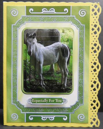 The Little Pony by Yvonne Middleton