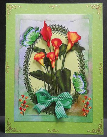 Beautiful Orange Calla Lillys by Yvonne Middleton