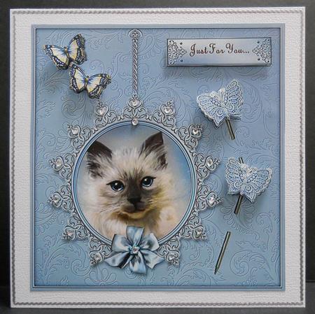 Pets Are Family Too! by Yvonne Middleton