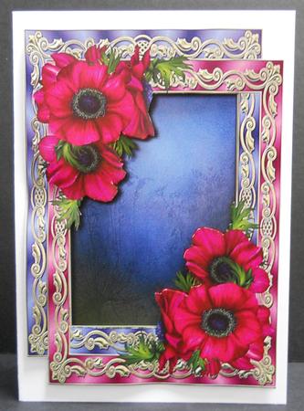 Double Satin Frame with Anemones + Extra Frame by Yvonne Middleton