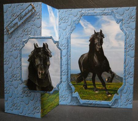 Black Beauty No Hole Back Fold Card by Yvonne Middleton