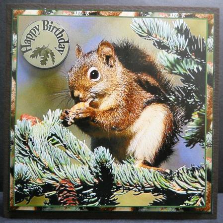 Im Nuts About You by Yvonne Middleton