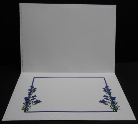 Blue Flowers Is by Yvonne Middleton
