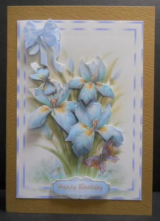 Lovely Blue Irises an Butterflys by Yvonne Middleton