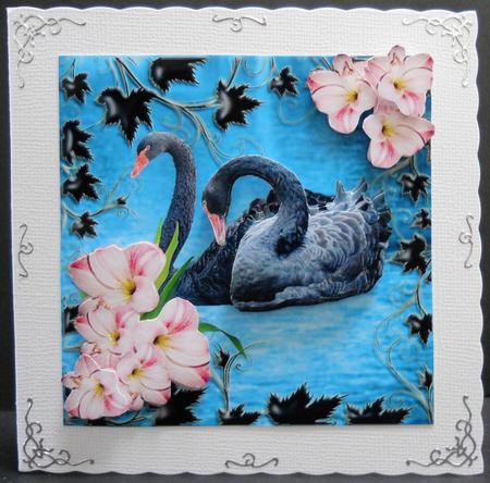 Peacefull Black Swans with Flower Decoupage Card Topper by Yvonne Middleton