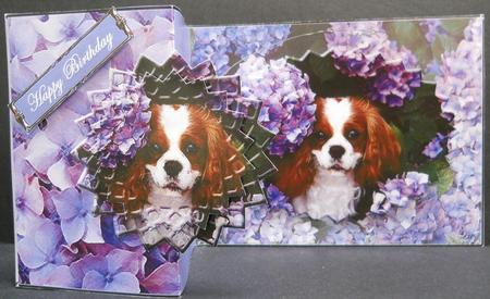 King Charles Cavalier No Hole Fold Back by Yvonne Middleton