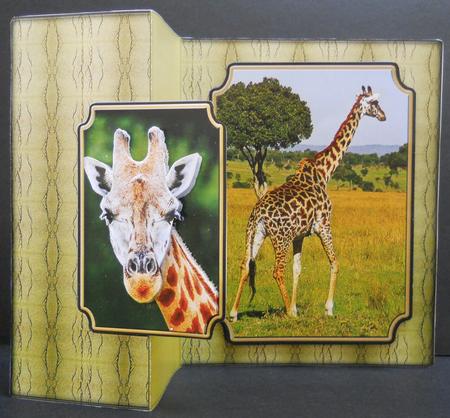 Giraffe No Hole Back Fold Card by Yvonne Middleton