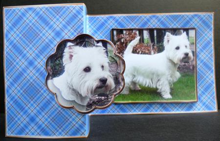 Love Westies - Blue - No Hold Back Fold by Yvonne Middleton