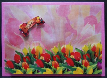 Real Tulip Border Backing Paper by Yvonne Middleton