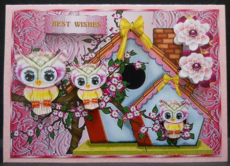 New Home Owl House 3 by Yvonne Middleton