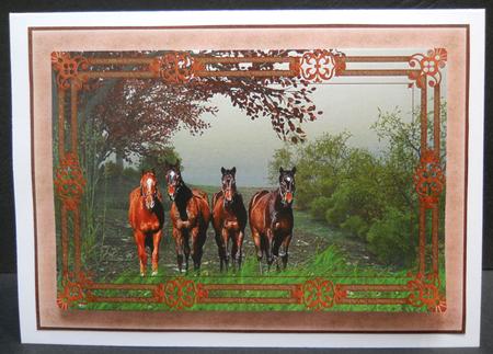 Four Horses Framed Background by Yvonne Middleton