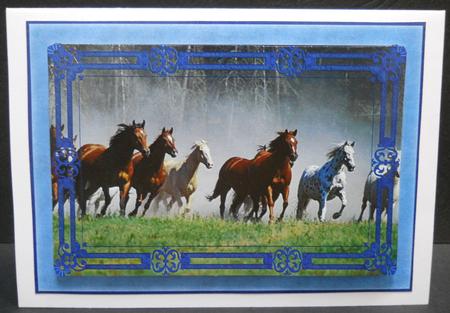 Wild Horses Framed Background by Yvonne Middleton