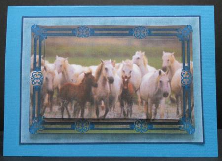 Wild Ponies Framed Vellum Background by Yvonne Middleton