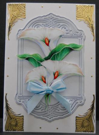 Shield Vintage Arium by Yvonne Middleton
