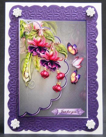 Envelop Fuchsias by Yvonne Middleton