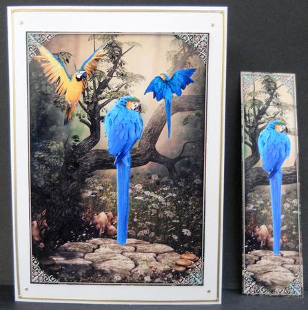 Parrots Paradise by Yvonne Middleton