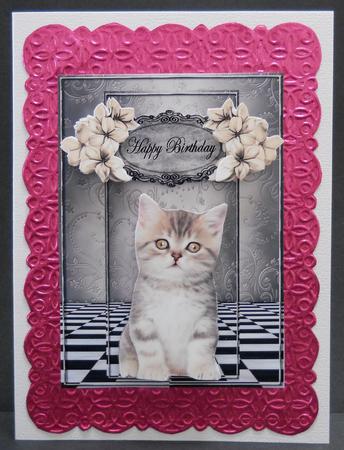 Cute Kitten Birthday Card by Yvonne Middleton