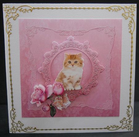 Sweet Kitten by Yvonne Middleton