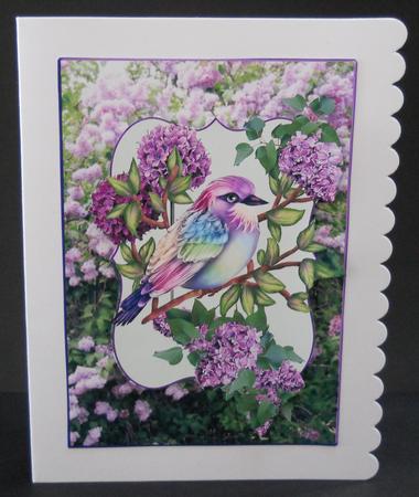 Floral Lilac & Bird Quick & Easy Card Topper by Yvonne Middleton