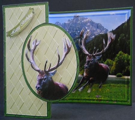 Mountain Elk by Yvonne Middleton
