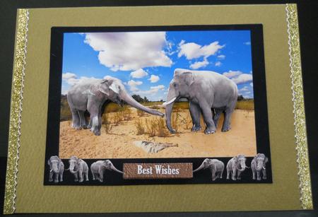 Safari Elephants by Yvonne Middleton