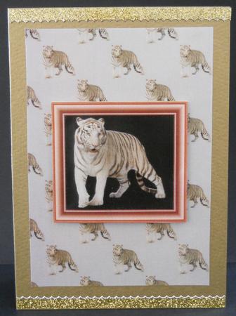White Tiger Backing Sheet by Yvonne Middleton