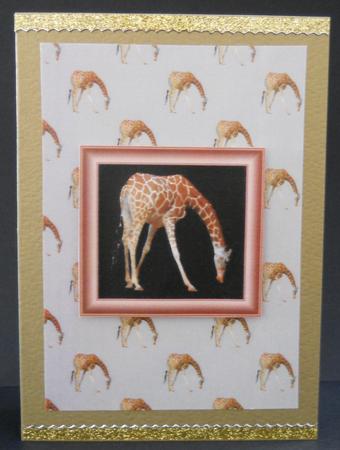 Giraffe Backing Sheet by Yvonne Middleton