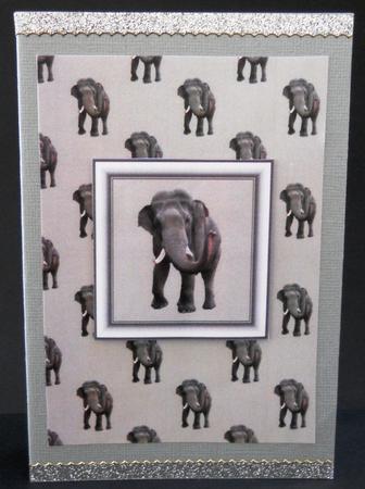 Elephant Backing Sheet by Yvonne Middleton