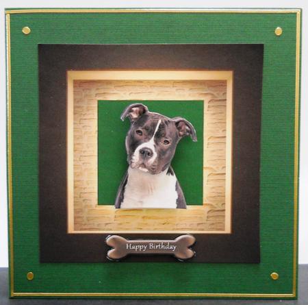 Adorable Staffie Portrait by Yvonne Middleton