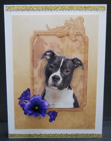Adorable Staffie by Yvonne Middleton