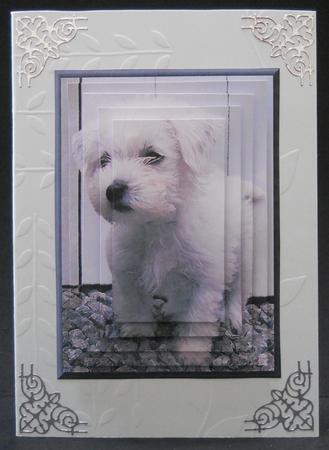 Westie Puppy Scene Pyramid by Yvonne Middleton