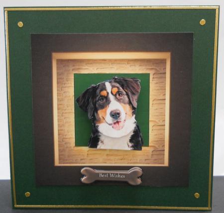 Berner Sennen Puppy Portrait by Yvonne Middleton