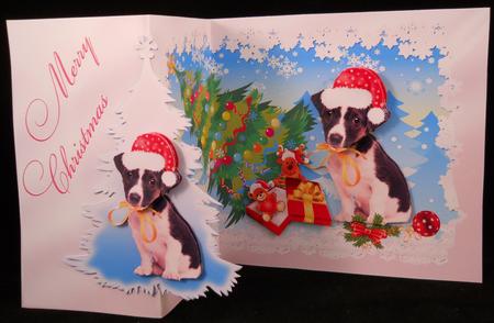 It Wasn't Me - Jack Russel Puppy by Yvonne Middleton