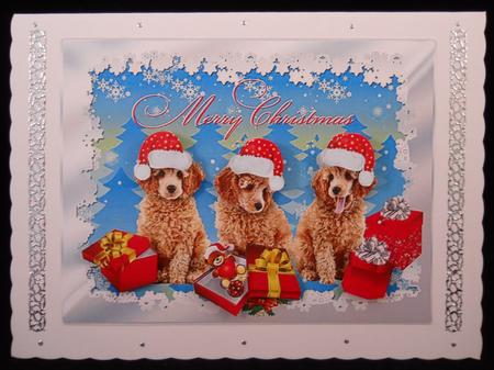 Poodle Puppy Love for Christmas by Yvonne Middleton