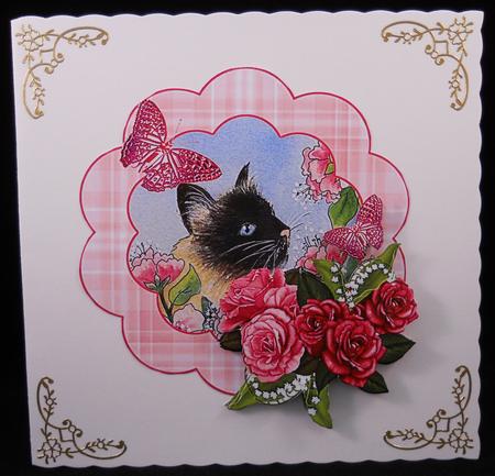 Siamese Cat with Rose Floral Frame by Yvonne Middleton