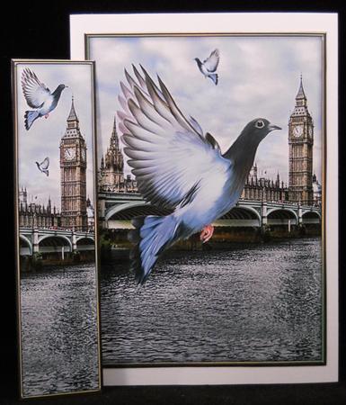 The London Pigeons by Yvonne Middleton